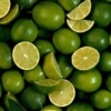 Lime Background Image